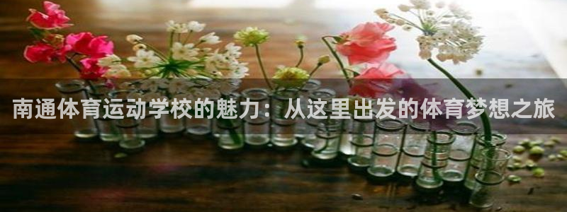 b体育必一运动官网：南通体育运动学校的魅力：从这里出发的体育梦想之旅