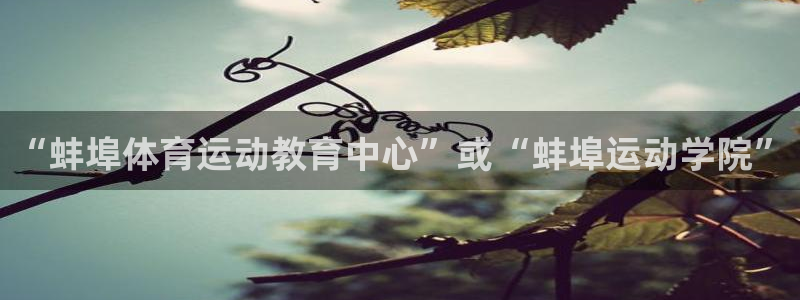 必一运动官网：“蚌埠体育运动教育中心”或“蚌埠运动学院”