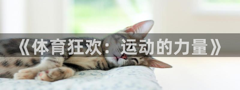 bsports必一运动：《体育狂欢：运动的力量》