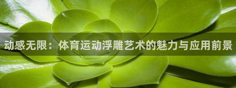 必一运动官网入口：动感无限：体育运动浮雕艺术的魅力与应用前景