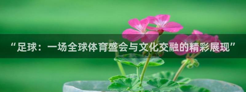 必一运动app：“足球：一场全球体育盛会与文化交融的精彩展现”